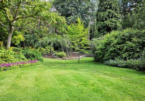 Optimiser l'expérience du jardin à Charbonnieres-les-Varennes